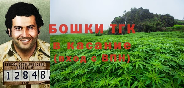 spice Аркадак