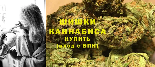 spice Аркадак