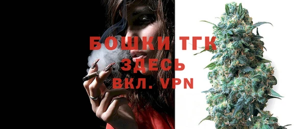 spice Аркадак
